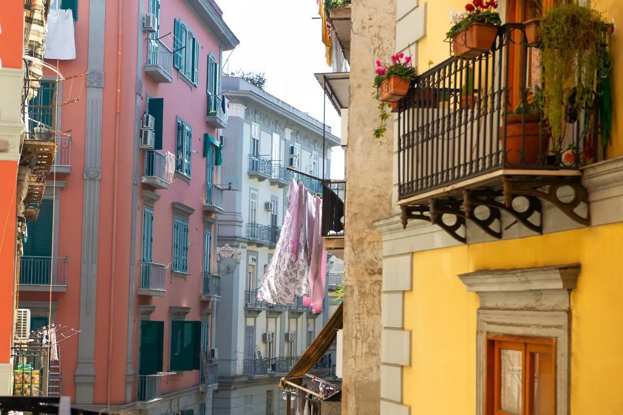 Dohome Napoli